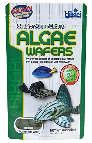 Hikari Tropical Algae Wafers (8.8 oz)