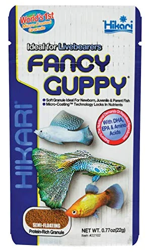 Ricefish vs Guppies: Which Is Better for Your Setup