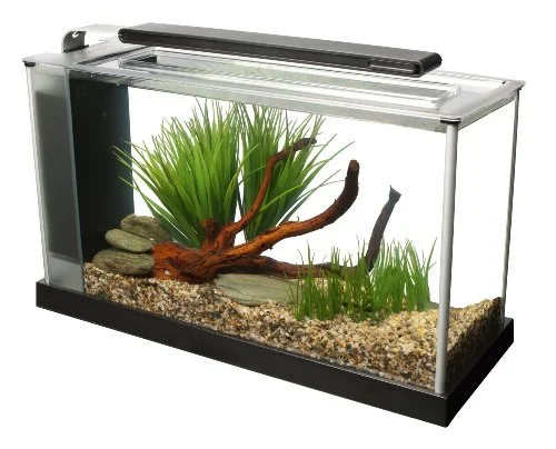 Fluval Spec V Aquarium Kit, 5-Gallon