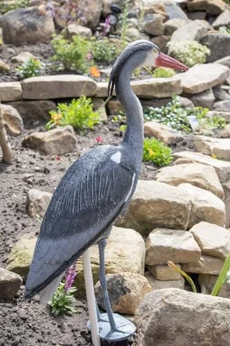 PondH2o Blue Heron Decoy (30 inches)