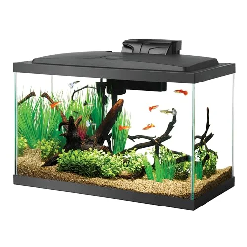 Aqueon Glass Aquarium Fish Tank Starter Kit with LED, 10 Gallon