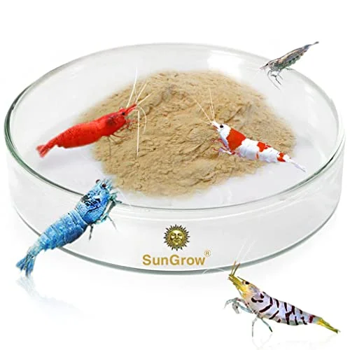 SunGrow Borosilicate Glass Shrimp Feeding Dish