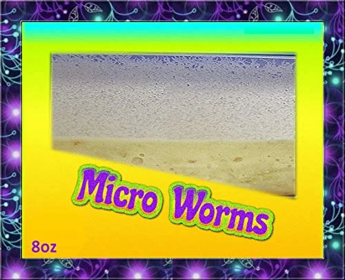 Insectsales.com Micro Worm Culture, 8 oz