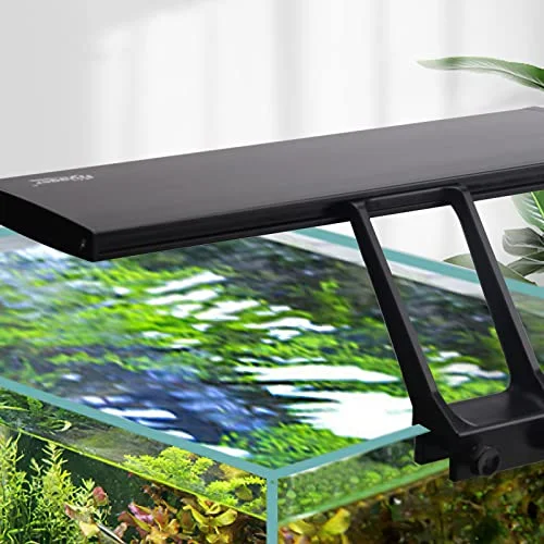 Best Clip-On Aquarium Lights in 2026 for Nano Tanks