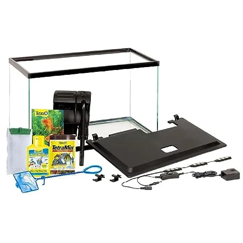 Best Beginner Aquarium Kits in 2026: Complete Setups Reviewed