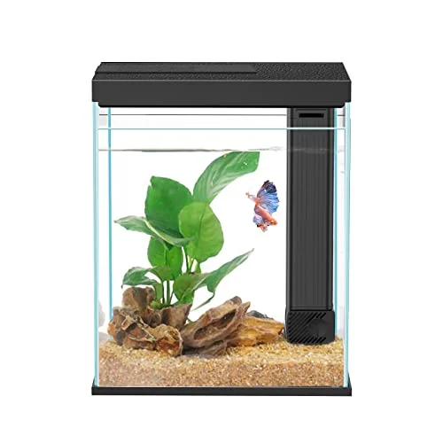 Pronetcus 2 Gallon Glass Betta Tank Kit
