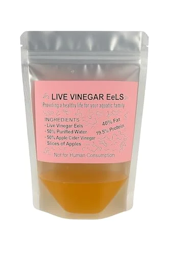 Live Vinegar Eels Culture (Turbatrix aceti), 10 oz