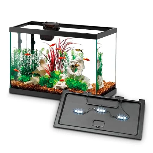 Aqueon Aquarium Starter Kit with SmartClean Filtration and LED Lighting, 10-Gallon