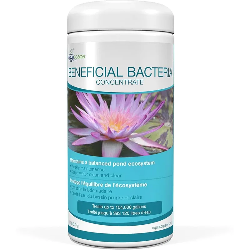 Best Pond Beneficial Bacteria in 2026 for Crystal Clear Water