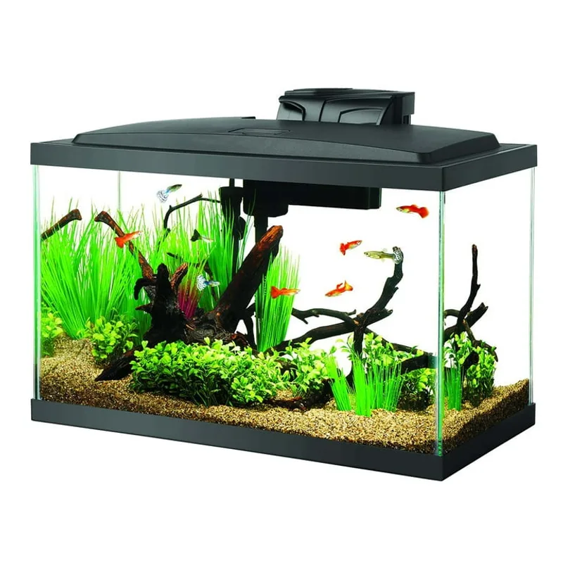 Aqueon 10 Gallon Starter Kit