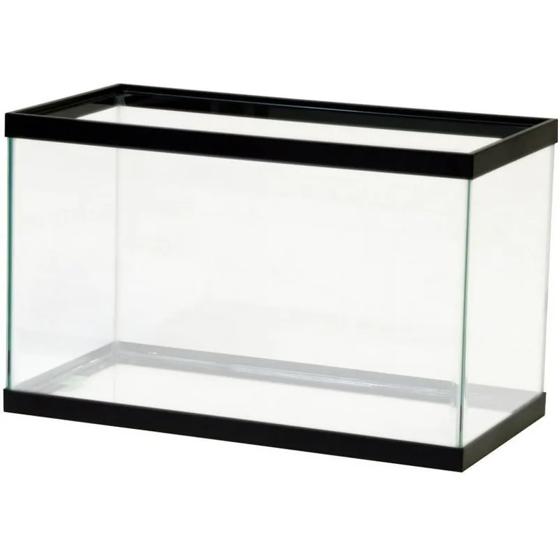 Best Shrimp Breeding Setup in 2026: Tanks, Filters, and Parameters