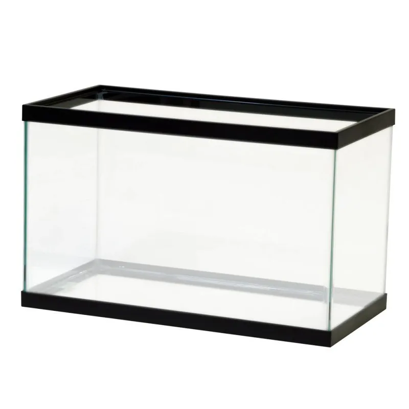 Best Grow-Out Tanks in 2026 for Fry and Juvenile Fish