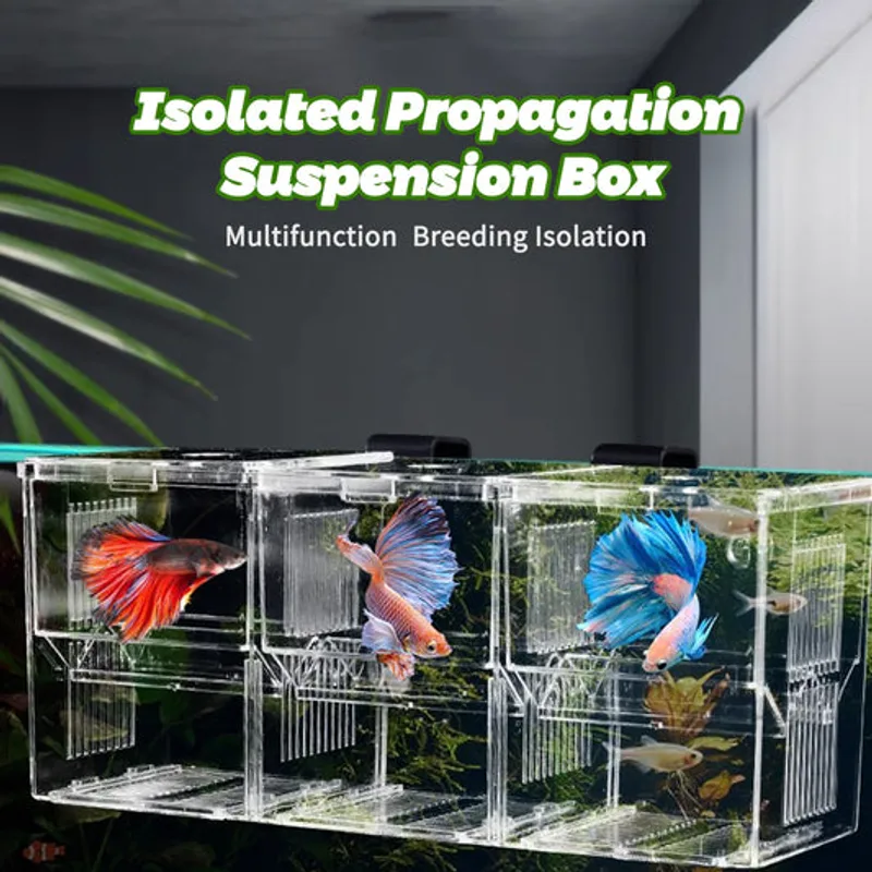 BaoZqua Dual-Chamber Breeder Box