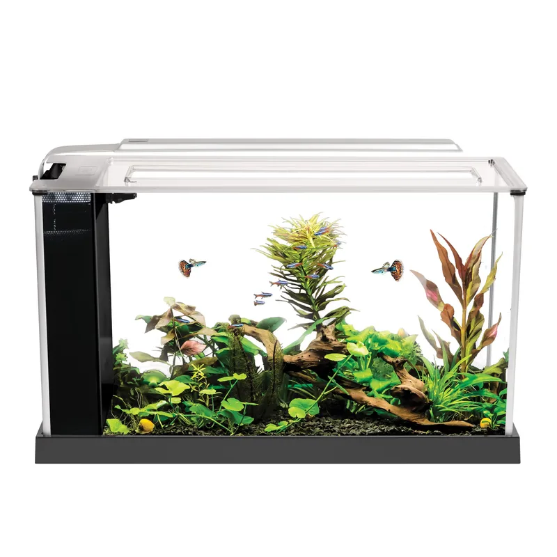 Best All-in-One Aquarium Tanks in 2026 for Desktop and Nano Setups