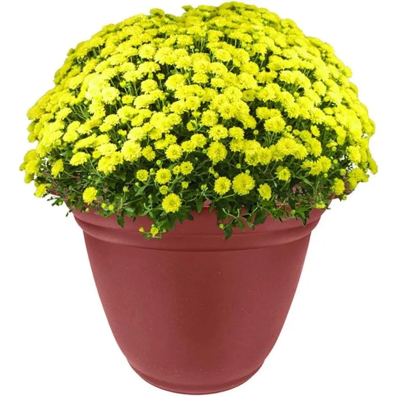 HC Companies 22 Inch Mojave Round Planter