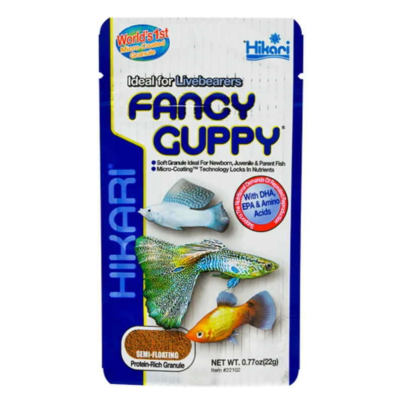 Hikari Fancy Guppy