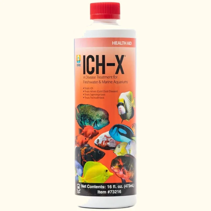 Hikari Ich-X