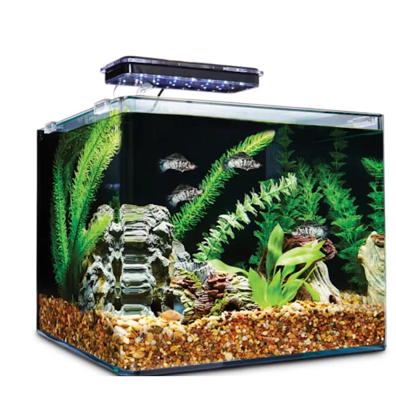 Imagitarium Frameless Aquarium Kit