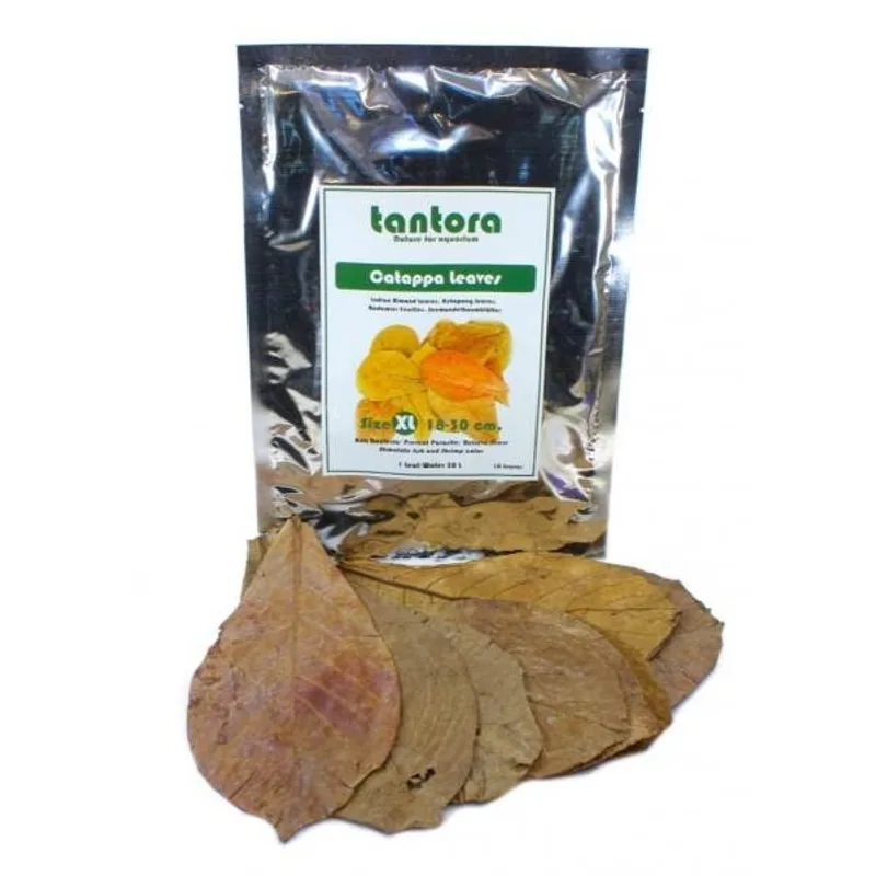 JungleAquashrimp L-XL Catappa Leaves (20 Pack)