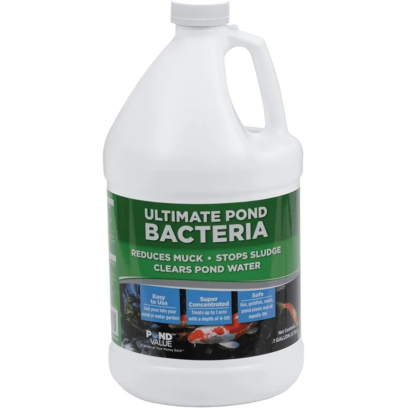PondValue Ultimate Pond Bacteria