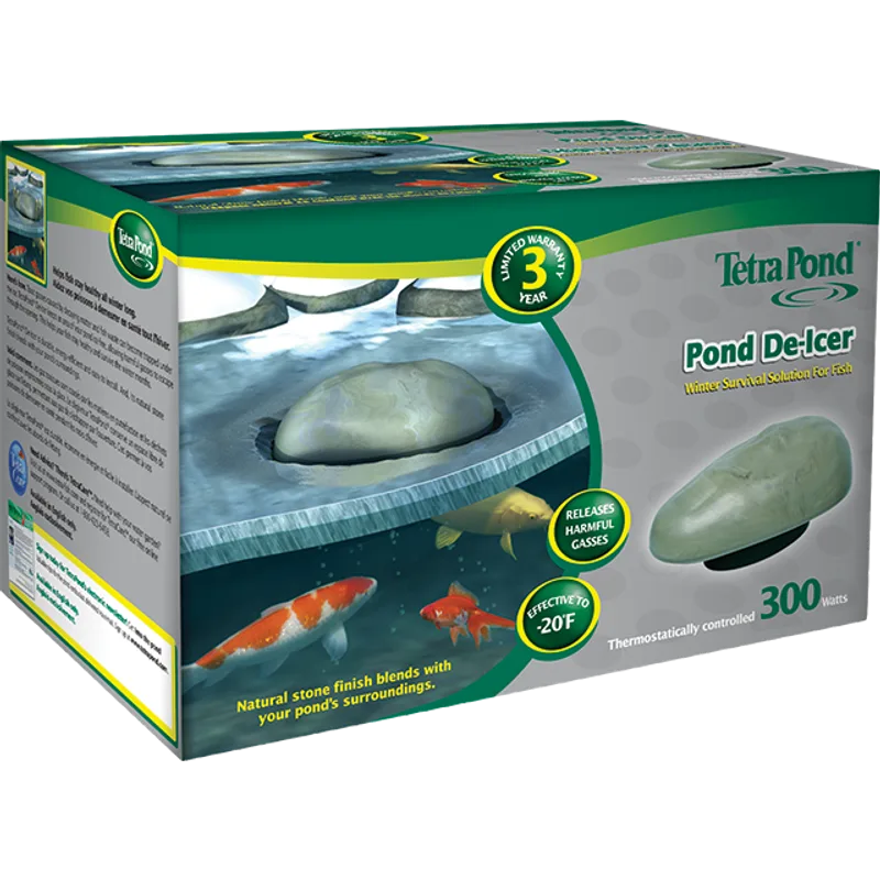Patio Pond Winter Care: Overwintering Fish and Plants