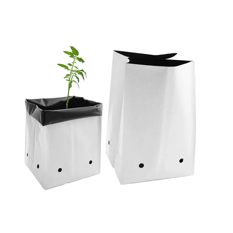 Pond Boss 10-Inch Square Plant Basket